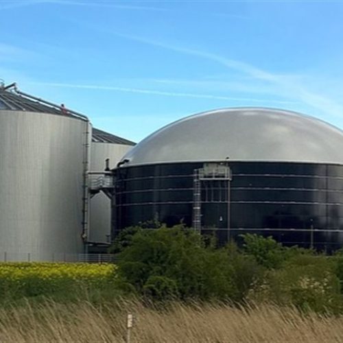Entenda as quatro fases da formação do biogás