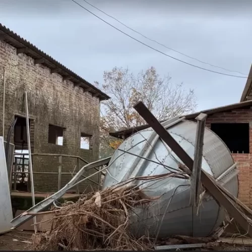 Agropecuária e mais 9 setores: veja como as mudanças climáticas afetarão a economia