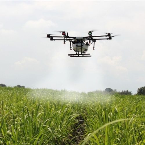 Tecnologia com drones ganha força no campo
