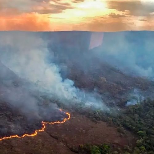 Incêndios ameaçam agronegócio
