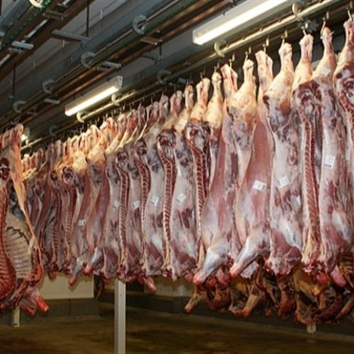 Custos baixos e demanda forte impulsionam a carne suína