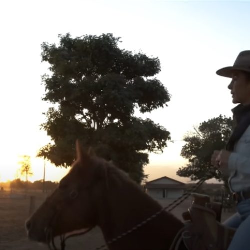 Agronegócio do Estado na COP30 ganha protagonismo na Expointer