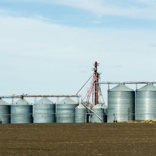 Tecnologia digital amplia controle dos silos