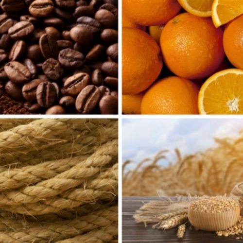 PGPM: governo atualiza preços mínimos agrícolas