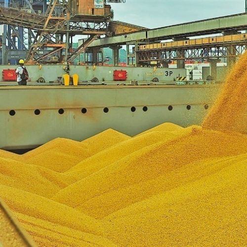 Mercado de grãos inicia dia com leve queda