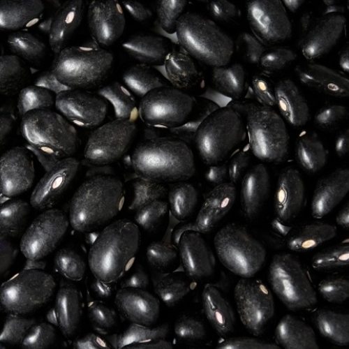 O que cozinhar com cada tipo de feijão?