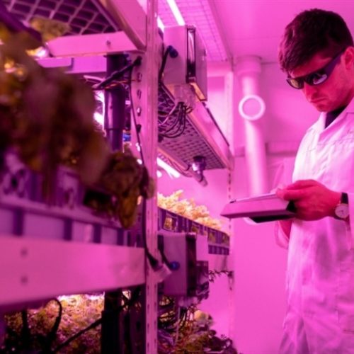 DNA “do zero” pode virar o jogo no agro