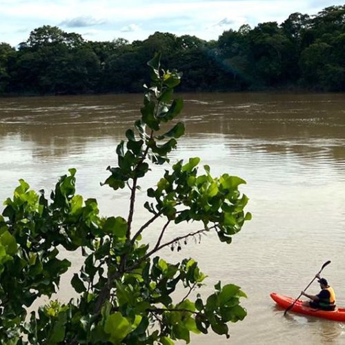 MEIO AMBIENTE: Mato Grosso possui 12 comitês de bacias hidrográficas e secretaria planeja repasse de R$ 550 mil