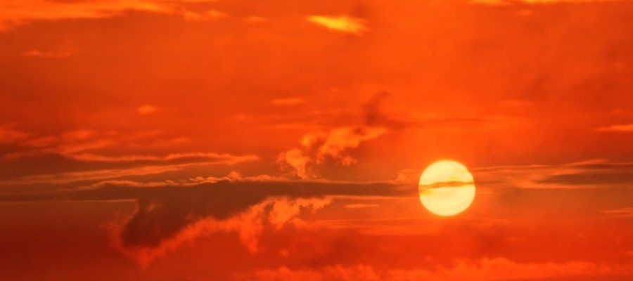 Calor exige prevenção antes dos sinais na lavoura