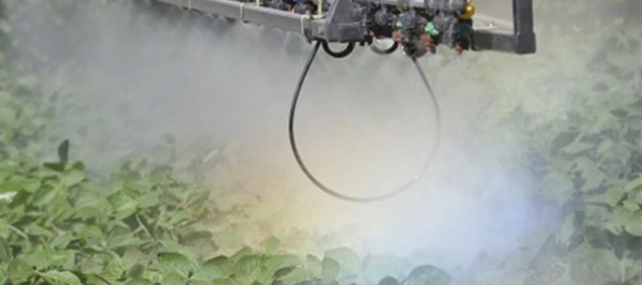 Justiça amplia restrições ao uso de herbicida 2,4-D