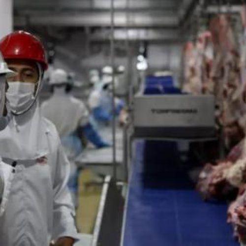 CONTRA DESMATAMENTO: Frigoríficos terão que garantir isenção de ‘lavagem de gado’ para vender à Europa