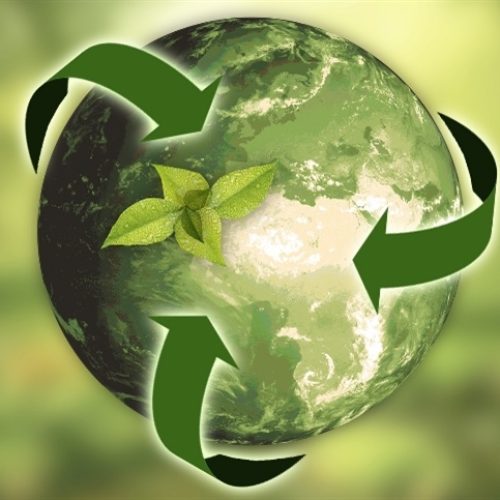 Burocracia ambiental pesa no bolso do produtor