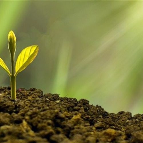 Mudanças globais apontam nova fase no setor agro