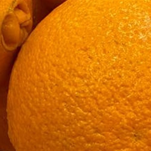 Safra de laranja tem nova redução por efeito do clima