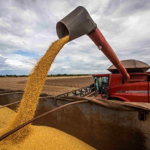 IMEA projeta safra recorde de soja em Mato Grosso com produtividade acima das últimas safras