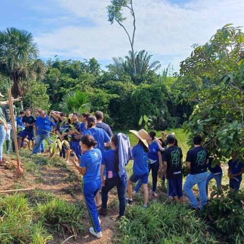 Seduc divulga lista das escolas selecionadas para etapa estadual da Conferência Infantojuvenil pelo Meio Ambiente
