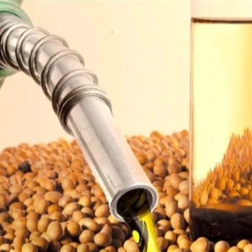 Brasil aposta no milho para abastecer setor energético