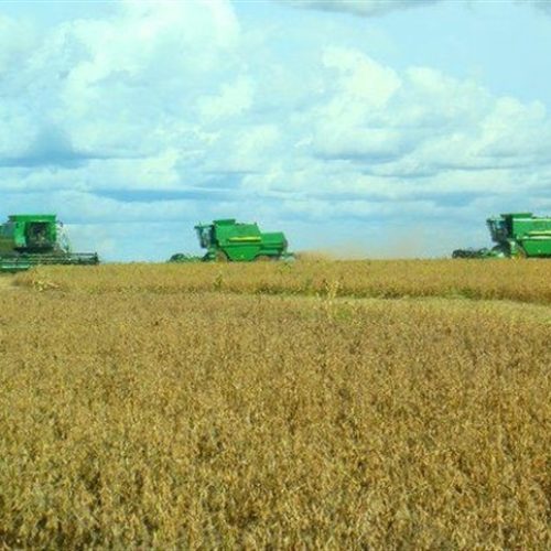 Expointer 2025: agronegócio é responsável por cerca de 40% do PIB estadual