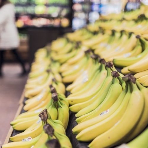 Agro diverso avança no semiárido