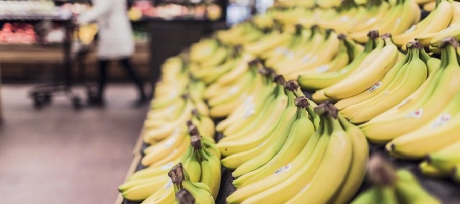 Agro diverso avança no semiárido