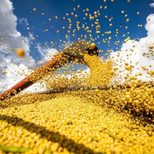 MT TEM 25% DO VOLUME NACIONAL: Quando a produção de soja vai bem, o PIB do país mostra evolução