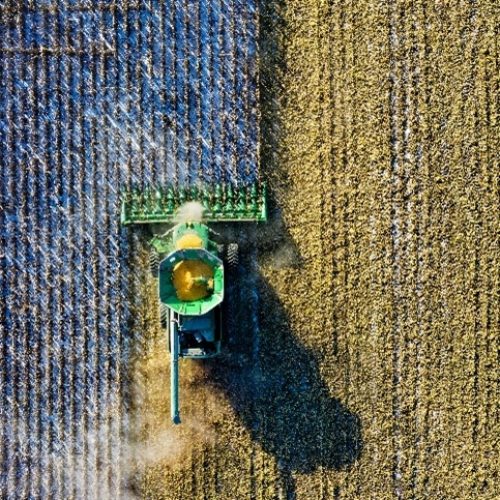 Dia do Agricultor: o Brasil que nasce do campo