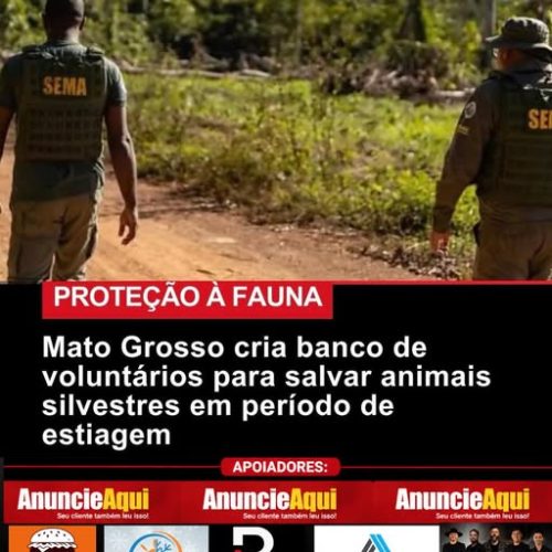 Mato Grosso cria bando de voluntários para salvar animais silvestre em período de estiagem