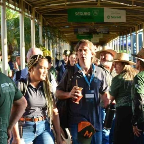 Show Rural: Público chega a 368.824 pessoas em quatro dias de visitas técnicas