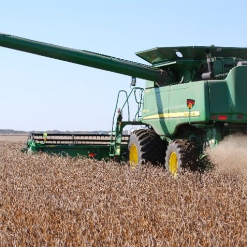 Produtores antecipam vendas de soja diante de safra recorde