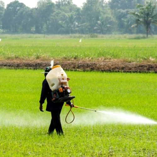 Diário Oficial traz prioridade para Programa de Redução de Agrotóxicos