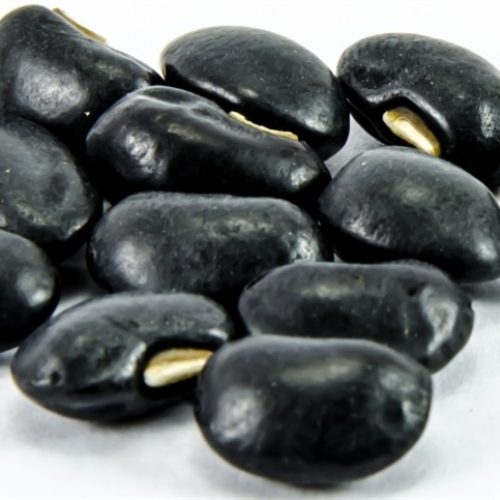 Campanha quer ampliar consumo de feijão