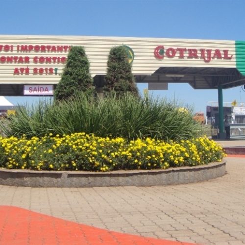 Expodireto Cotrijal 2026 abre com estrutura ampliada e expectativa de movimentar o agro