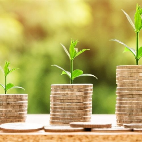 Quais as principais empresas de bioinsumos do País?