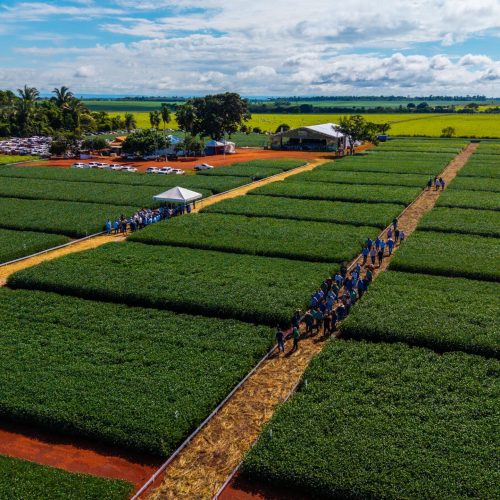 Aprosoja Mato Grosso realiza 1º Giro de Pesquisa no Vale do Guaporé