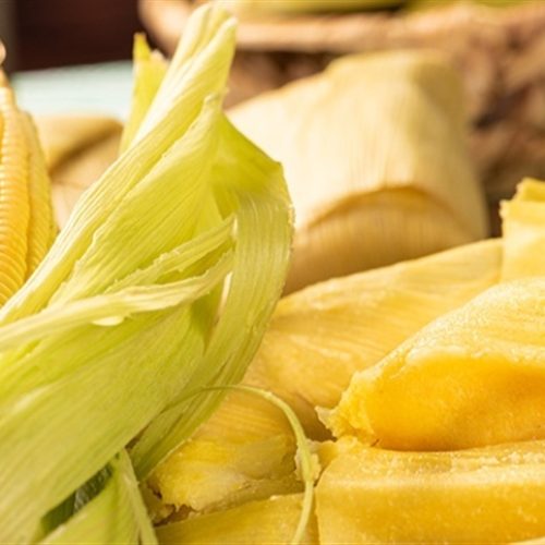 MT: abril será decisivo para o potencial produtivo do milho