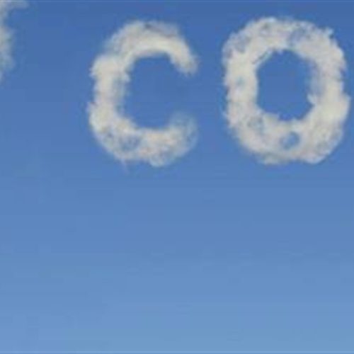 Brasil pode perder espaço no mercado global de carbono