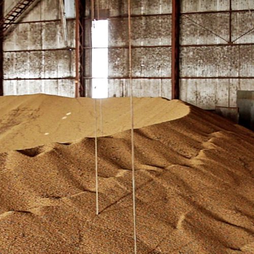 VIDAS PERDIDAS: Duas mortes em dois dias em silos de grãos acendem o alerta sobre a segurança no campo
