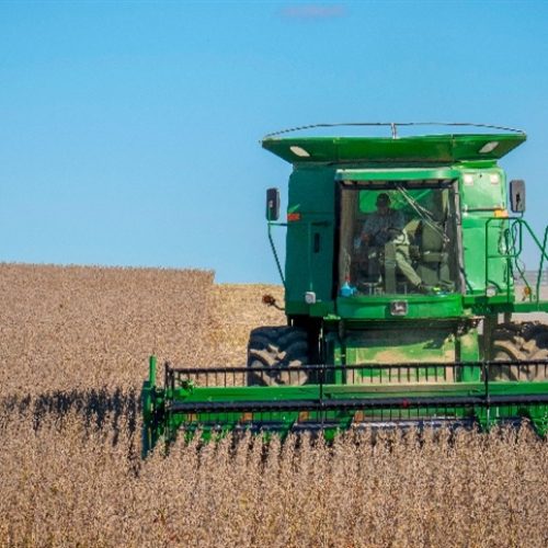 Colheita de soja e milho avança com bom ritmo na Argentina