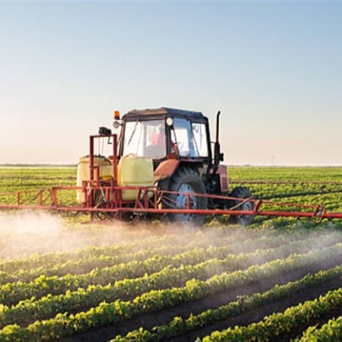 Dose correta é decisiva no controle de plantas daninhas