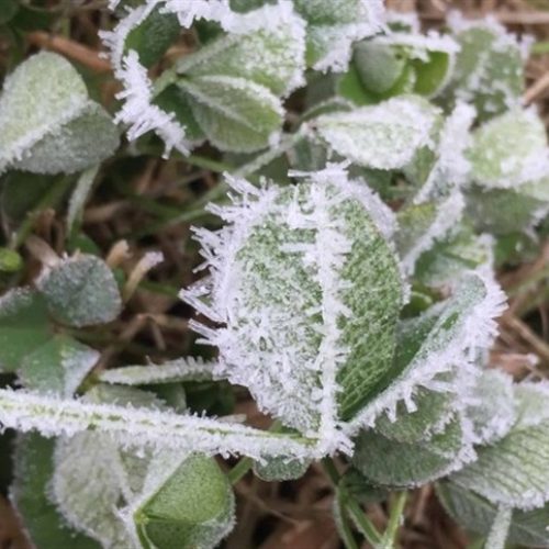 Semana com extremos: Norte pode bater 38°C e Sul registra até -7°C