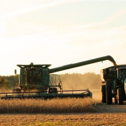 Tensão EUA-China valoriza soja brasileira apesar de dólar em queda