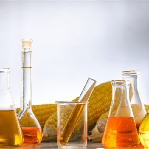 Paraná desponta como novo polo de etanol de milho no Brasil