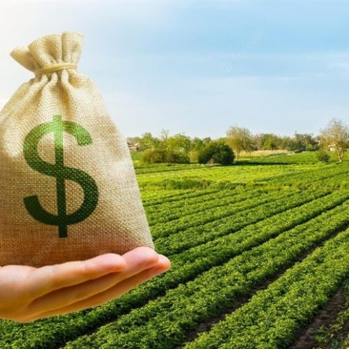 Os gigantes do agro estão perdendo o controle do jogo?