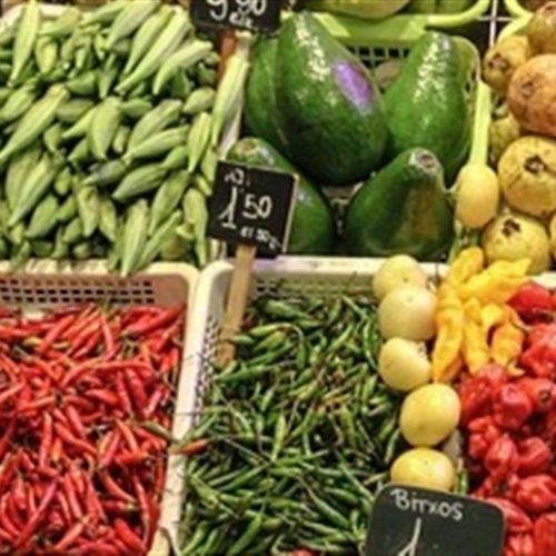 Alimentação sustentável: um desafio e uma oportunidade global