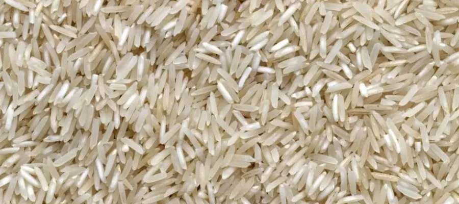 Arroz volta a subir, mas outubro ainda acumula perdas