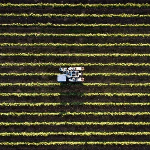Seguro rural cobre só 14% da área agrícola
