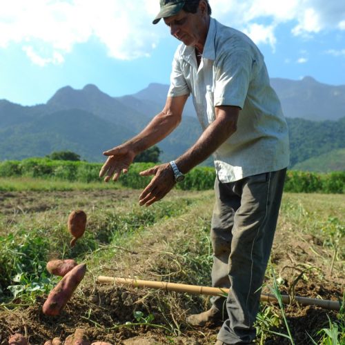 BNDES vai liberar R$ 12 bi para produtores rurais com perdas de safra