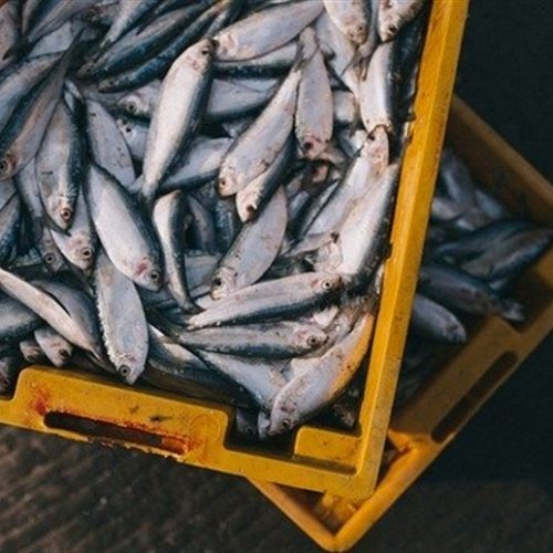 Brasil conquista novos mercados na Eurásia e no Japão