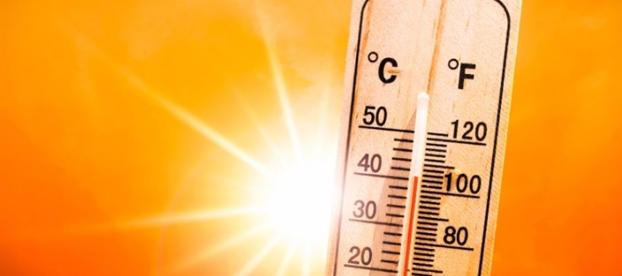 Calor extremo pressiona produção de grãos