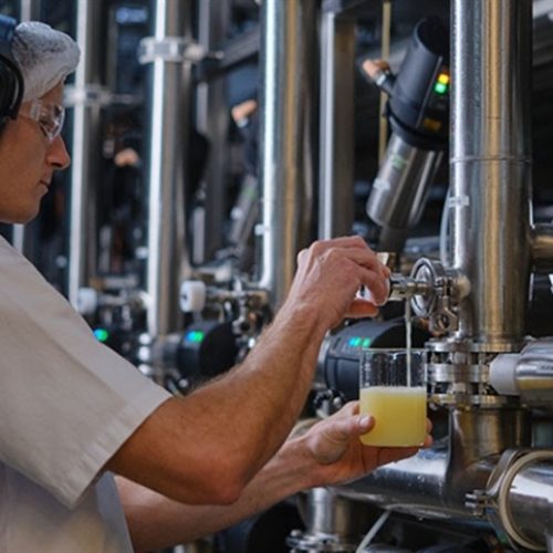 Estudo mede impacto ambiental do whey protein na cadeia láctea
